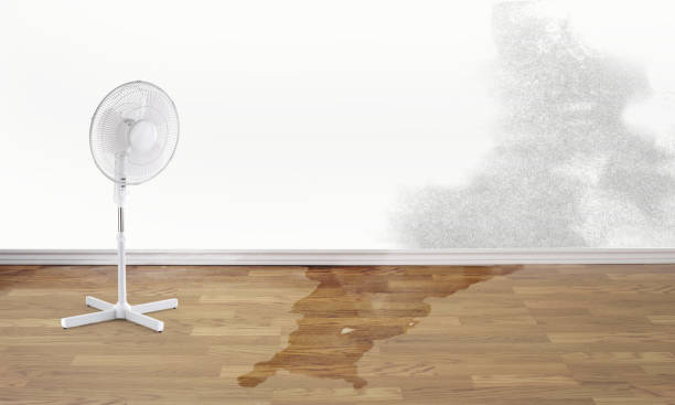Best Professional water damage repair  in Sanatoga, PA