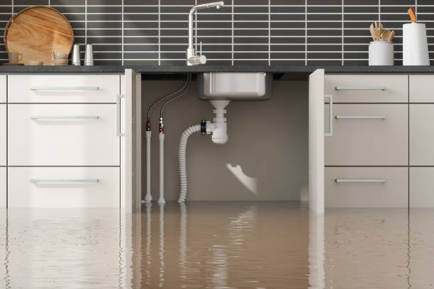 Best Flood damage cleanup  in Sanatoga, PA