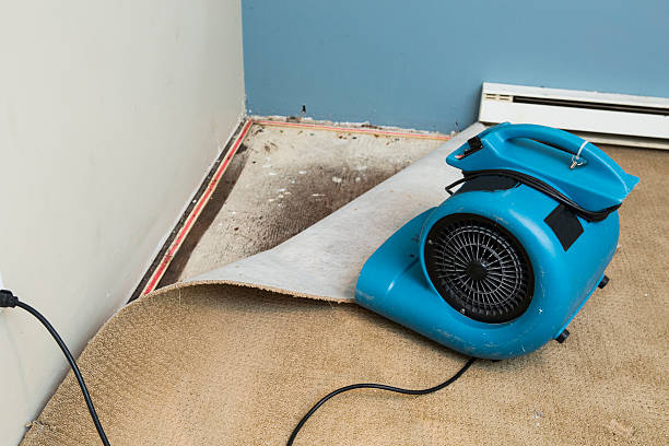 Best Mold removal after water damage  in Sanatoga, PA